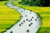 CHÙA BÁI ĐÍNH - KHU SINH THÁI TRÀNG AN 01 NGÀY