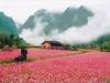 HÀ NỘI - HÀ GIANG - MÈO VẠC - ĐỒNG VĂN - LŨNG CÚ - HÀ NỘI