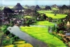 HOA LƯ TAM CỐC 01 NGÀY