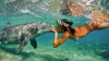 Chương trình du lịch Hawaii