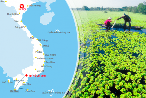 Đặt vé máy bay đi Cà Mau