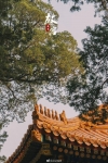 (VN) BẮC KINH – TÔ CHÂU – HÀNG CHÂU – THƯỢNG HẢI