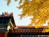 (VN) BẮC KINH – TÔ CHÂU – HÀNG CHÂU – THƯỢNG HẢI